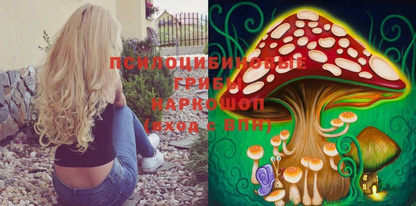 шишки Балабаново