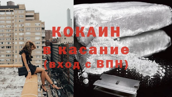 шишки Балабаново
