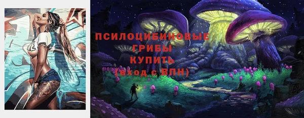 шишки Балабаново