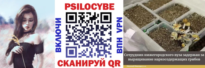 Галлюциногенные грибы MAGIC MUSHROOMS  Шуя 