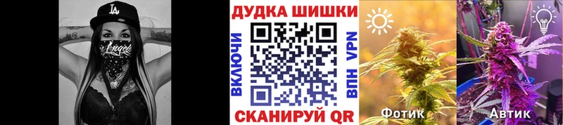 Бошки марихуана сатива  закладка  Шуя 